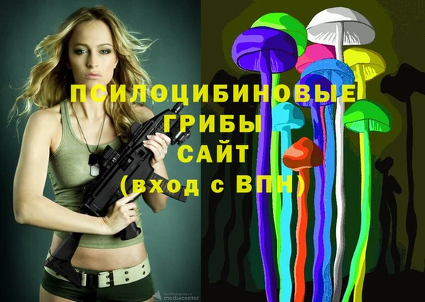 прущие крисы Балахна