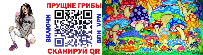 закладки OMG ONION Галлюциногенные грибы Cubensis Вуктыл